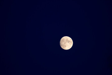 Fototapeta premium full moon on a background of blue sky