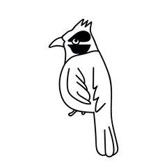 Single hand drawn bird. Doodle vector illustration. Isolated on a white background.