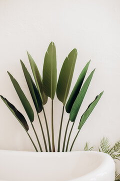 Bali style bathroom with palm branches
