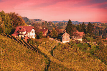 Fototapeta na wymiar Wine road, Maribor, Slovenia
