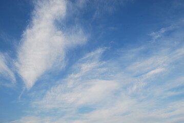 Snow-white clouds on a blue sky background. On a summer day, feathery fluffy clouds of various shapes and sizes slowly float across the light blue sky.