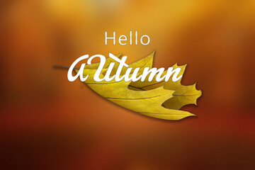 welcome autumn illustration with its yellow and orange colors