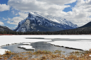 Spring melt of icy lake appears brown grass with Mount Rundle in background Banff National Park, Alberta Canada