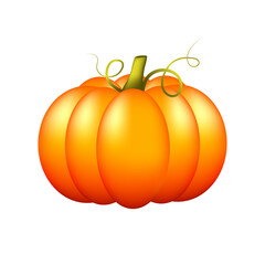 Cute ripe pumpkin isolated on a white background. Orange appetizing bright pumpkin. Autumn harvest. Vegetable icon. Farm badge.