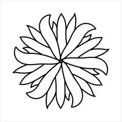 Fototapeta premium Aster flower made of black lines on a white background for clipart or web design