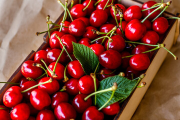 Close-up cropped box, crape of dark red sweet cherries with tail and leaves on craft wrinkled paper background. Summer fruits and berries. Harvest and crop concept. Organic food. Summertime