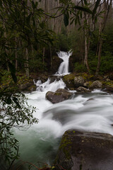 Mouse Creek Falls, Great Smoky Mountains National Park