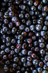 Close-up textured freshly picked blueberries. Natural background. Dark violet and purple color. Summer healthy food. Top view. No people. Vertical