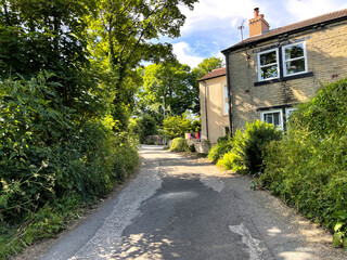 View along, Hare Lane, with old trees, and cottages in, Pudsey, Leeds, UK