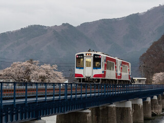 桜と列車