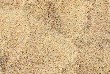 The texture of river sea sand on a sunny day. Beach, background. A place to copy.