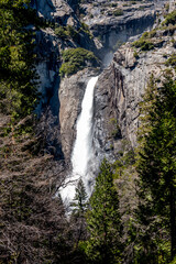 Fototapeta na wymiar Yosemite, CA
