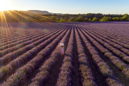 Aerial view of a woman with curly hair wearing a hat in a dreamy lavender field looking at the sunset over the mountains, Puy de Dome, Auvergne, France.