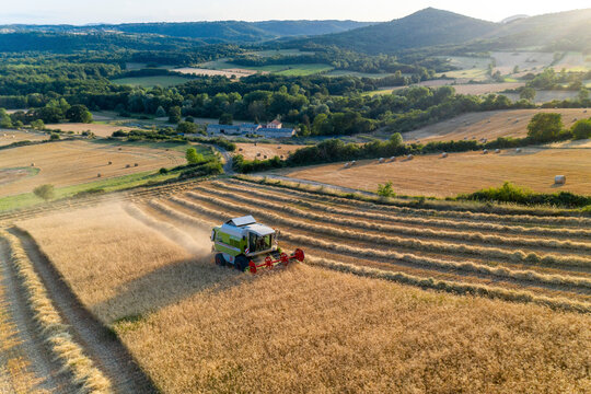 Aerial view of a wheat field harvest in rows by a white and green tractor during a July summer sunset, with a small farm in the background, Puy de dome, Auvergne, France.