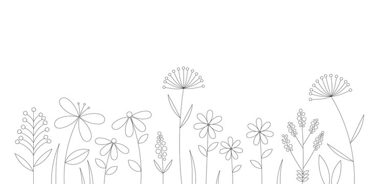 Flowers meadow. Outline flowers drawing vector.