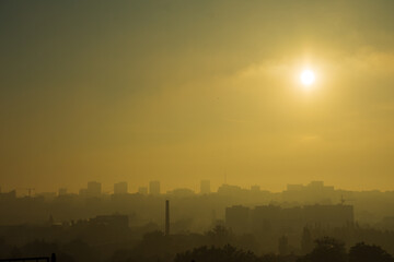 Summer morning in the city