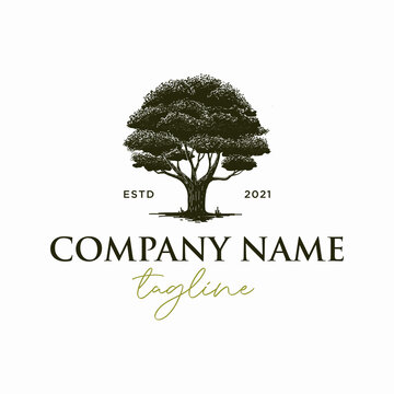 Handdrawn oak tree logo template