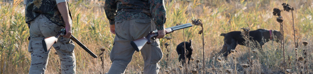 Duck hunters with shotgun walking through a meadow. .Rear view of a man with a weapon in his hands.