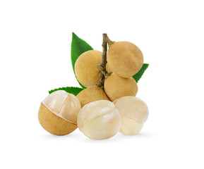 Wollongong isolated on white background