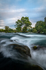 river in the forest