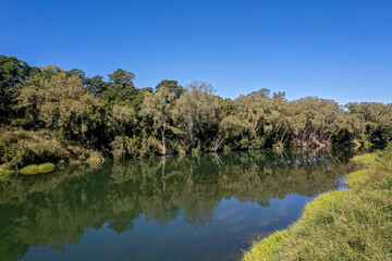 Fototapeta na wymiar Country Creek Water Reflections