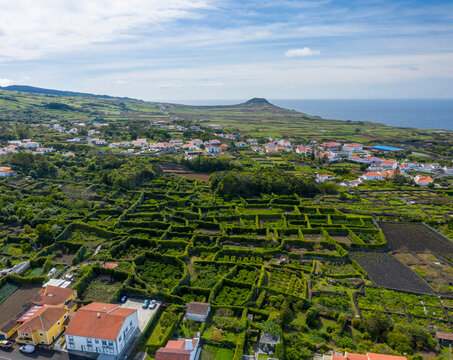 Aerial view of agricultural fields along the coastline near Biscoitos, Azores archipelago, Portugal.