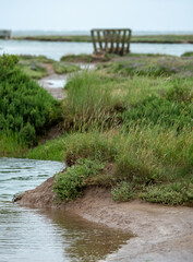 Wooden pedestrian bridges in the salt marshes at Stiffkey near Holt in North Norfolk, East Anglia UK.