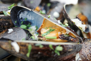 Mussels, seafood dish