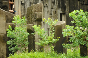 動物園の展示スペース