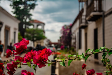 flores santa rita