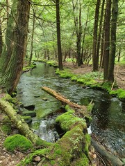 River