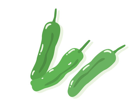 325 Best Shishito Images Stock Photos Vectors Adobe Stock