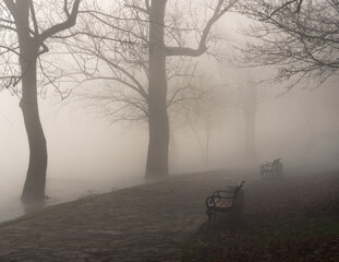 morning in the park