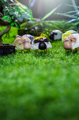 A group of sheep in the barn can be use for Eid Al Adha greeting card