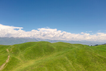Fototapeta premium Nalati grassland with the blue sky.