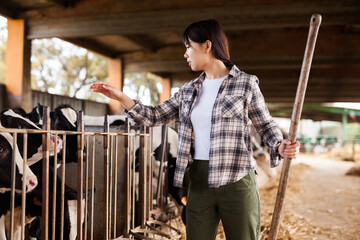 Portrait of active chinese female employee working in cowshed on farm. High quality photo