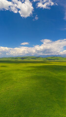 Nalati grassland with the blue sky.
