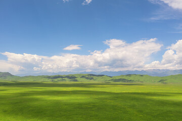 Nalati grassland with the blue sky.