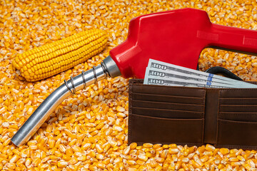 Ethanol gasoline fuel nozzle, corn kernels and wallet with cash money. Biofuel, agriculture and...