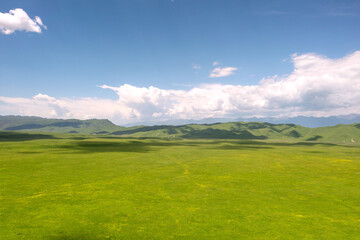 Fototapeta premium Nalati grassland with the blue sky.