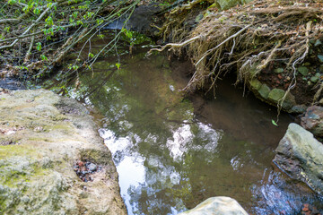 大分県の平治岳、大船山のミヤマキリシマが咲く登山道 Trail of Mt.Heijidake and Mt.Taisenzan in Oita Prefecture