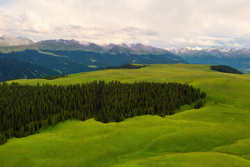 Mountain peaks and grassland are under white clouds.