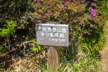 大分県の平治岳、大船山の登山道 Trail of Mt.Heijidake and Mt.Taisenzan in Oita Prefecture