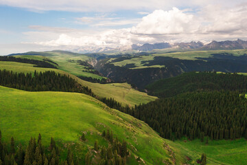Fototapeta na wymiar Mountain peaks and grassland are under white clouds.