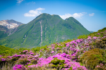 大分県の平治岳、大船山の登山道 Trail of Mt.Heijidake and Mt.Taisenzan in Oita Prefecture