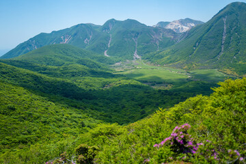 Naklejka na ściany i meble 大分県の平治岳、大船山の登山道 Trail of Mt.Heijidake and Mt.Taisenzan in Oita Prefecture