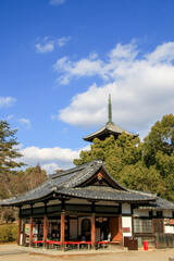 Fototapeta premium 仁和寺