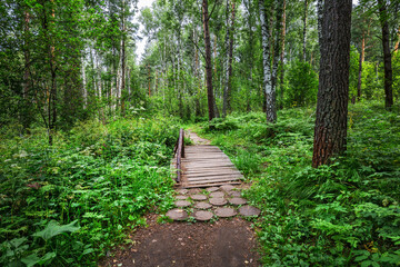 Obraz premium Taiga trail. Western Siberia