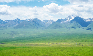 Nalati grassland with the blue sky.