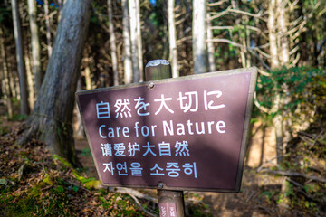 静岡県の天城山の紅葉の季節の登山道 Mt. Amagi Mountain Trail in Shizuoka Prefecture during the Fall Foliage Season